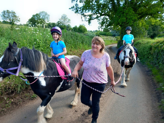 Having fun with ponies.