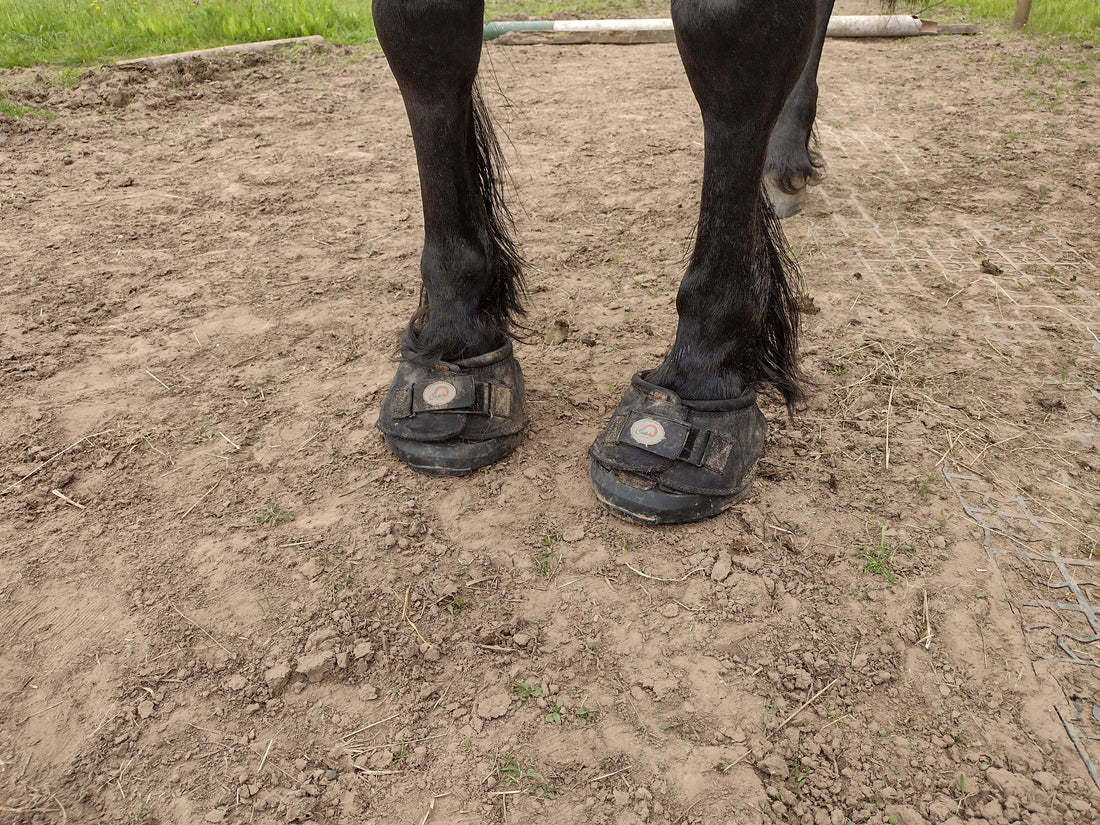 Laminitis alert