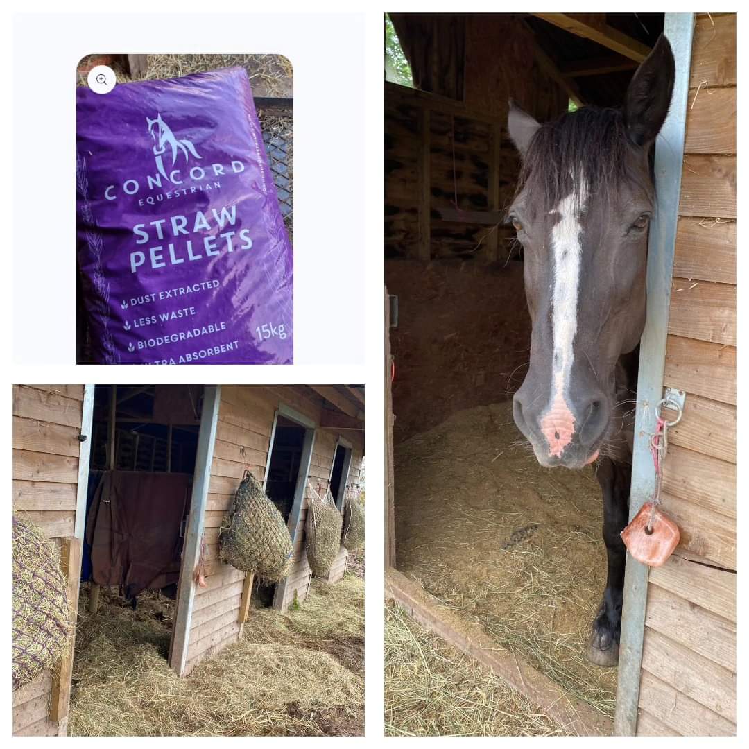 Concord Equestrian Straw Pellets