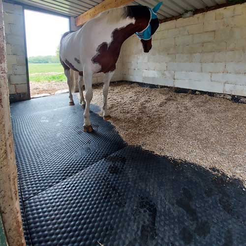 Mayo Horse Mattress in stable with a brown and white horse