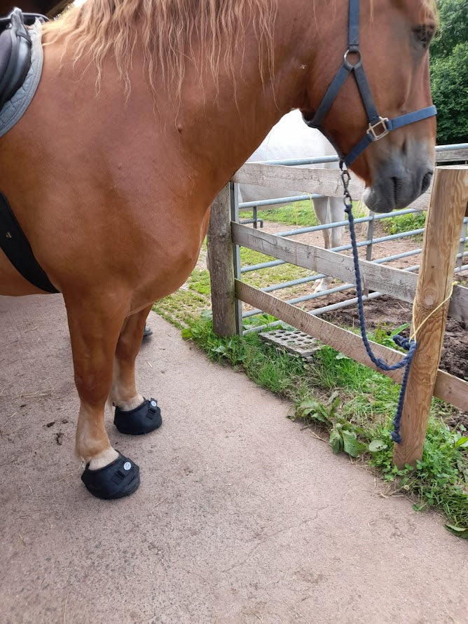 Cavallo Big Foot Hoof Boot