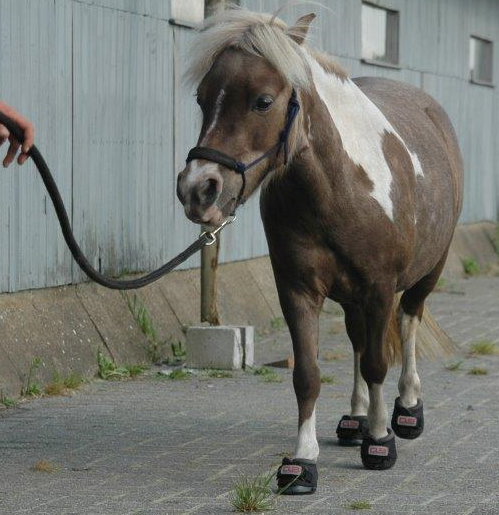 Unicorn Pink CLB - Cavallo Cute Little Boots, BIG Style!