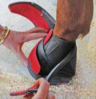 Cavallo pastern wraps